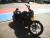 NIGHT ROD SPECIAL